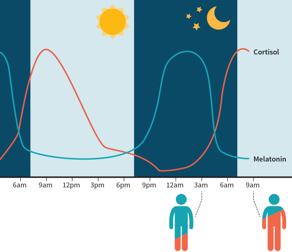 Melatonin_Cortisol_Tagesverlauf